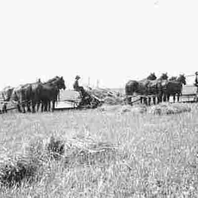 Timeline: Antecedentes relación hombre con la naturaleza