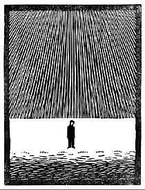 Flor de Pascua - Untitled