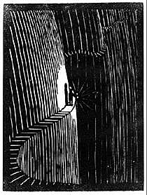 Flor de Pascua - Never think before you act