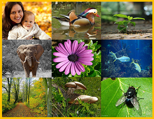 ¿Que es estar vivo?