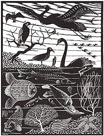 The 5ht Day of the Creation