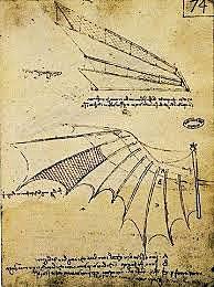 Leonardo analiza en detalle la dinámica del vuelo