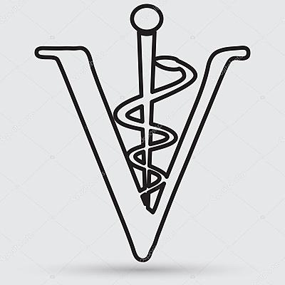 Timeline: Línea de tiempo sobre la historia de la Medicina Veterinaria