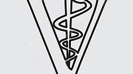 Timeline: Línea de tiempo sobre la historia de la Medicina Veterinaria