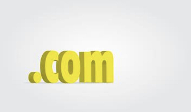 Se produce los dominios del puntocom