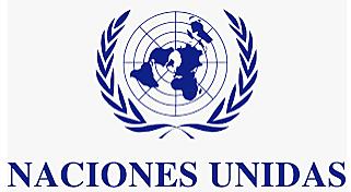 Organización de las Naciones Unidas-ONU