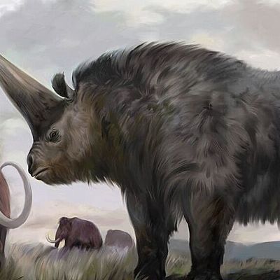 Timeline: ANIMALES EXTINTOS