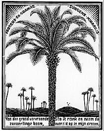 Palm Tree