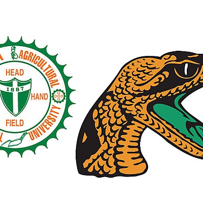 Timeline: Case Study Milestones