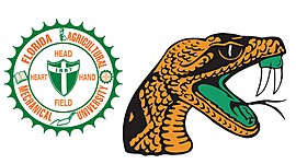 Timeline: Case Study Milestones