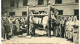 Timeline: 1761. Primera escuela de Veterinaria fundada en Lyon,Francia