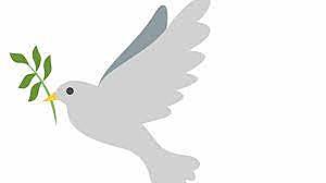 ¿Vuelta a la tranquilidad?