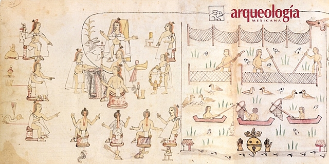 Mexicas y Tuxpanecas