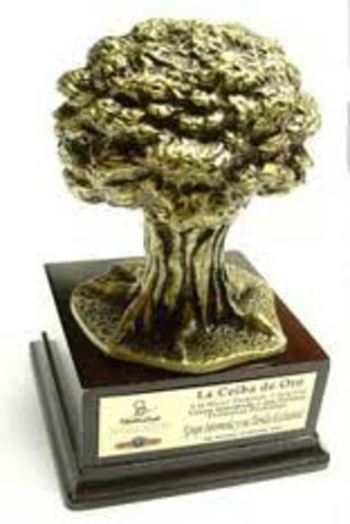 Premio La Ceiba de Oro