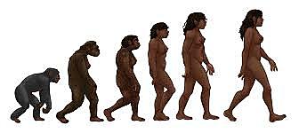 Homo nearthentalensis.