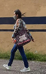 Pandemia de Covid-19