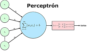 Perceptron