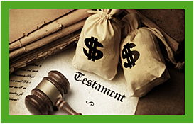 MANUAL DEL LITIGANTE INSTRUIDO