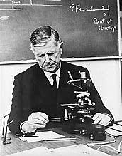 Teoría selectiva clonal