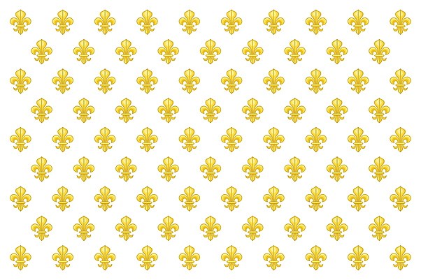 The French Enter The Revolutionary War