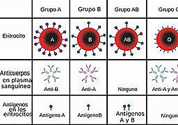 Grupos sanguíneos