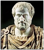 Aristóteles (384-322 a.C)