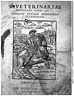 Apsyrtos (300-360 a.C)