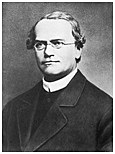 Gregor Mendel (1822-1884)