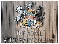 Frank Alexander (1968)