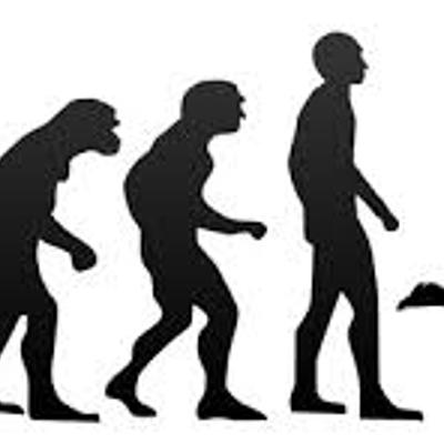 Timeline: Evolución de la educación física