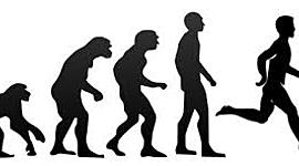 Timeline: Evolución de la educación física