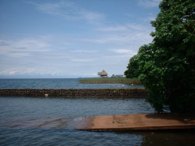 Se compro el terreno en Rio {Dulce