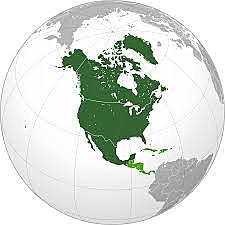 180 millones de años antes