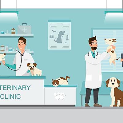 Timeline: Historia de la Medicina Veterinaria