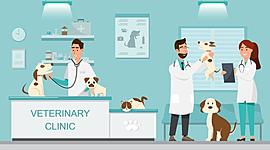 Timeline: Historia de la Medicina Veterinaria