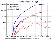 Egypt Surpasses 94,000 Cases