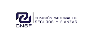 Comisión Nacional de Seguros y Fianzas