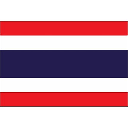 Tailandia reporta su primer caso