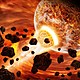 Earth formation