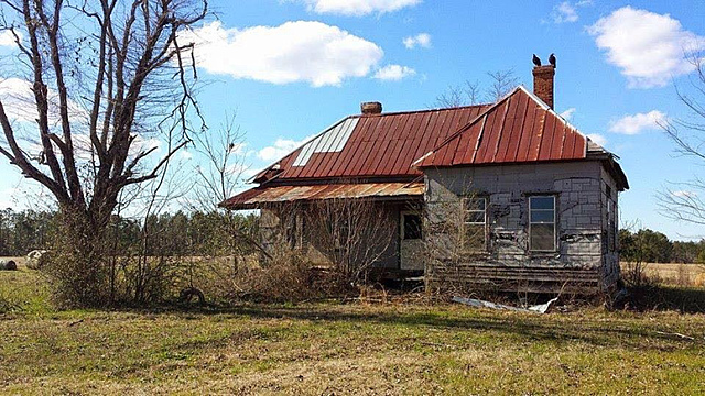 The Birth of Rosa Park