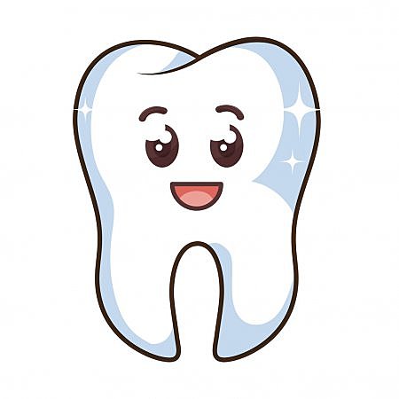 Em cau la meva primera dent