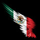 Bandera imagen 1