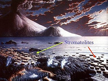 Arhaikum ehk ürgeoon