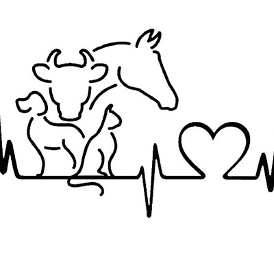 Timeline: Historia de la Medicina Veterinaria y Zootecnia