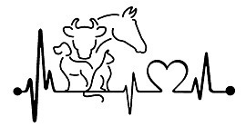 Timeline: Historia de la Medicina Veterinaria y Zootecnia