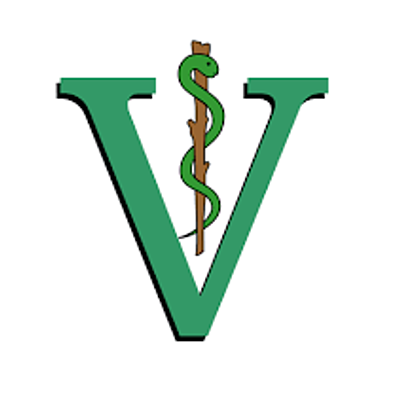 Timeline: Historia de la Medicina Veterinaria