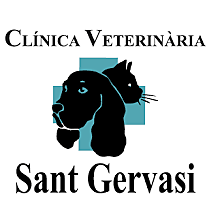 Mort de la meva gossa Lua