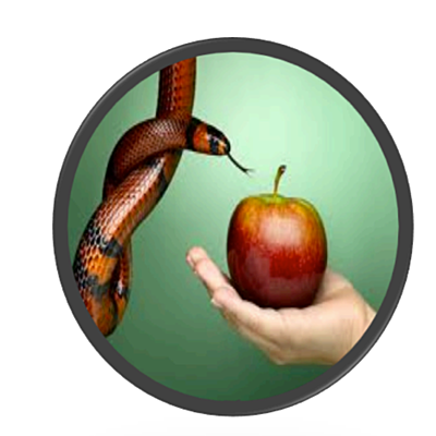 Timeline: Trajetória da argumentação