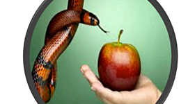 Timeline: Trajetória da argumentação