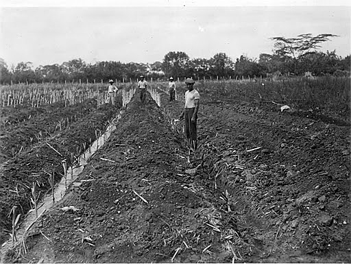 Ministerio de Industria y Agricultura